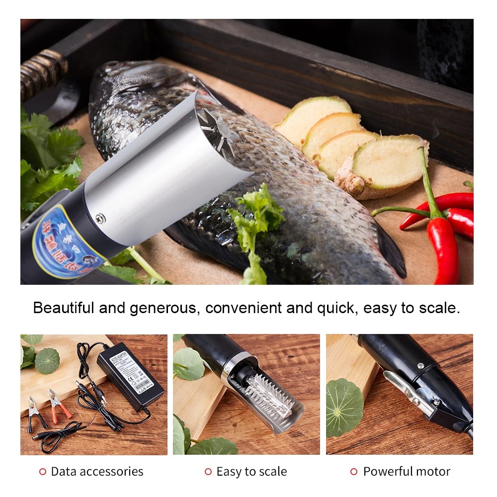 Couteau à fruits de mer 120W,  - Mesh Coil Strip avis et prix